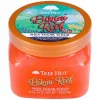 Shea Sugar Scrub Bikini Reef 510g