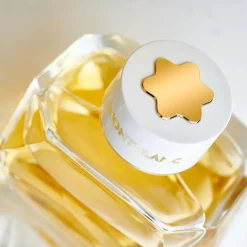 Signature Absolue Eau De Parfum 50ml