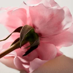 Signature Eau De Parfum Refillable 100ml