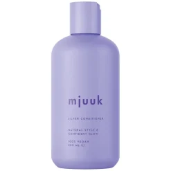 Silver Conditioner 250ml