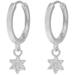 Siri Pendant Earring Silver Onesize