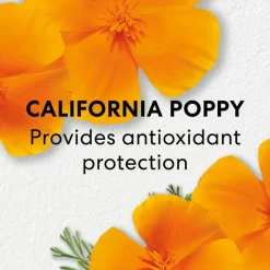 Skinlongevity Long Life Herb Serum 30ml