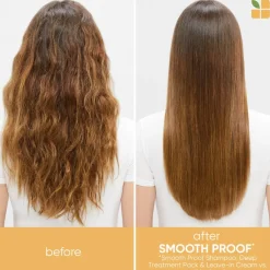 SmoothProof Routine For Frizzy Hair With Mask