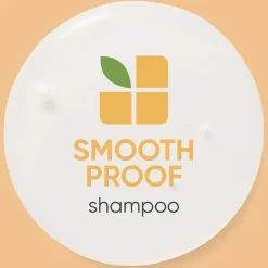 SmoothProof Routine For Frizzy Hair With Oil