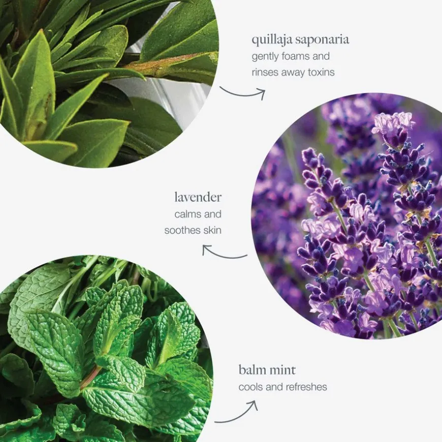 Special Cleansing Gel Refil 500ml