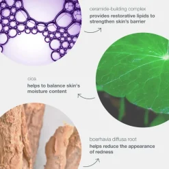 Stabilizing Repair Cream 15ml