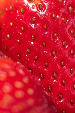 Strawberry Toothpaste 60g