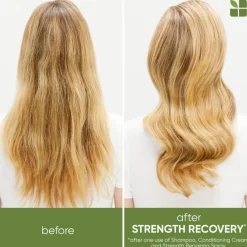 Strength Recovery Routine For Damaged Hair With Recovery Spray