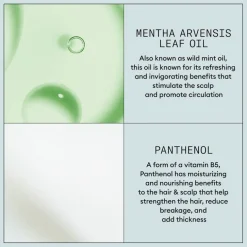 Strong Hold Hairspray 300ml