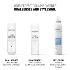 StyleSign Bodifying Control Mousse 300ml