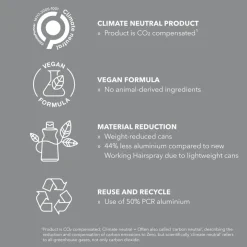 StyleSign Compressed Working Hairspray 150ml