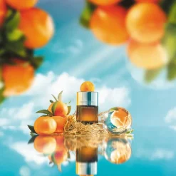 Sunlit Clementine & Vetiver Eau de Parfum 100ml