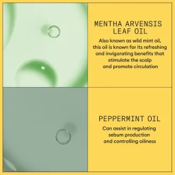 System 1 Conditioner 1000ml