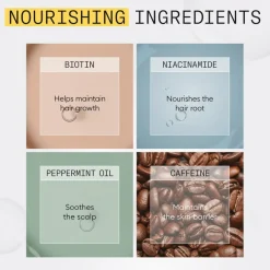 System 1 Loyalty Kit