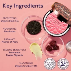 Tea to Tan Powder Blush N3 Pink Passion 7ml