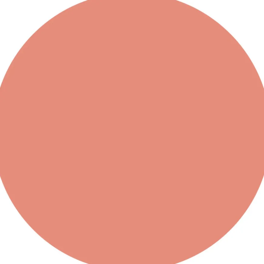 Terracotta Blush 02 5g