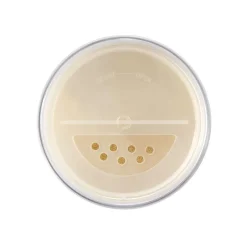 The Loose Setting Translucent Powder 00 Translucent 9g