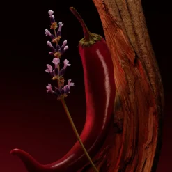 The Scent Elixir Parfum 100ml