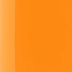 The Wonder Nail Polish Quick Dry & Longwear 216 Sea Buckthorn 5ml