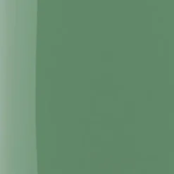 The Wonder Nail Polish Quick Dry & Longwear 144 Jade Mint 5ml