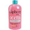 Treacle Moon Raspberry Kiss Shower Gel 500ml