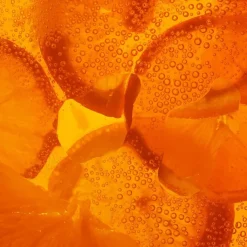 Truth Barrier Booster Orange Ferment Essence 120ml