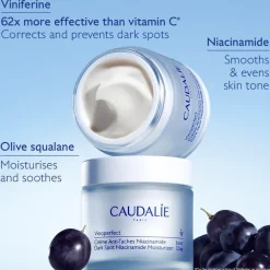 Vinoperfect Dark Spot Niacinamide Moisturizer Day Refill 50ml