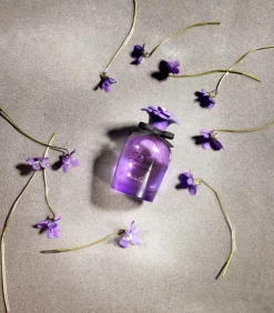 Violet Eau De Toilette 50ml
