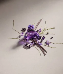 Violet Eau De Toilette 50ml