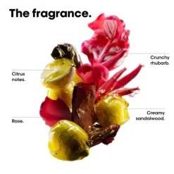 Vitamino Color Spectrum Shampoo Refill Pouch 500ml