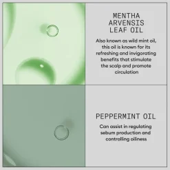 Volumizing Dry Shampoo 180ml