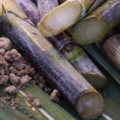 Waso Satocane Pore Purifying Scrub Mask 80ml