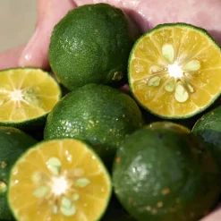 Waso Shikulime Gel-To-Oil Cleanser 125ml