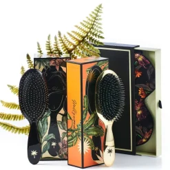 Wet brush Octopus Medium