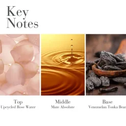 White Tea Body Water Cream 225ml