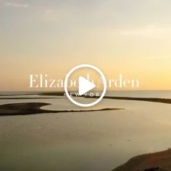 White Tea Eau De Parfum 50ml