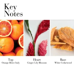 White Tea Ginger Lily Eau De Toilette 50ml