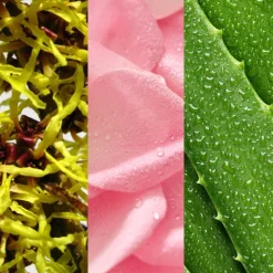 Witch Hazel & Rosewater Toner 236ml