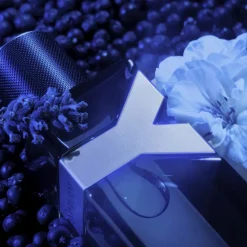 Y Eau De Parfum Intense 100ml