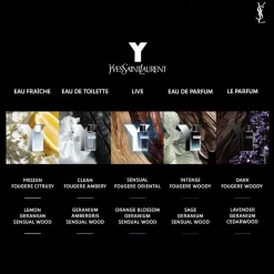 Y Le Parfum Eau De Parfum 100ml